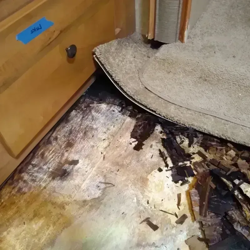 Best Wood Floor Water Damage Service in Linthicum, MD